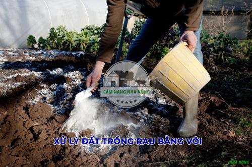 Cách xử lý đất trồng rau bằng vôi