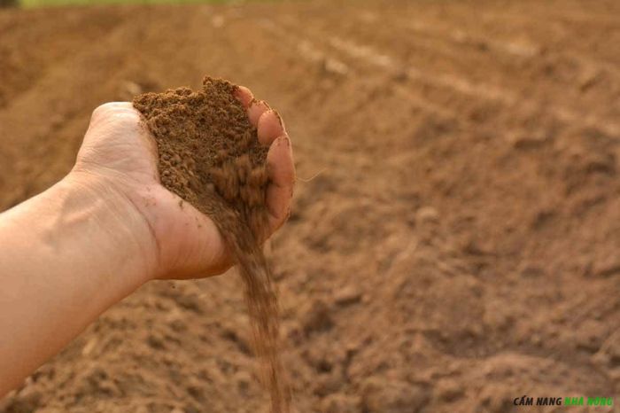 Axit Humic giúp cải thiện cấu trúc của đất trồng