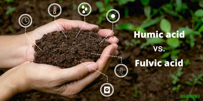 Hỗn hợp các chất humic