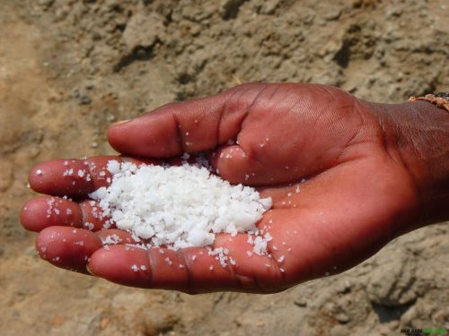 Cách pha trộn muối để diệt cỏ dại