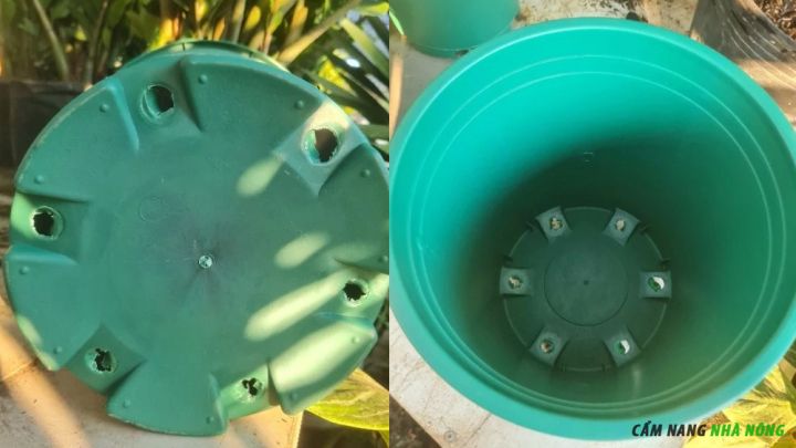 Đáy chậu Monrovia thiết kế nhiều lỗ thoát nước và thoát nước nhanh