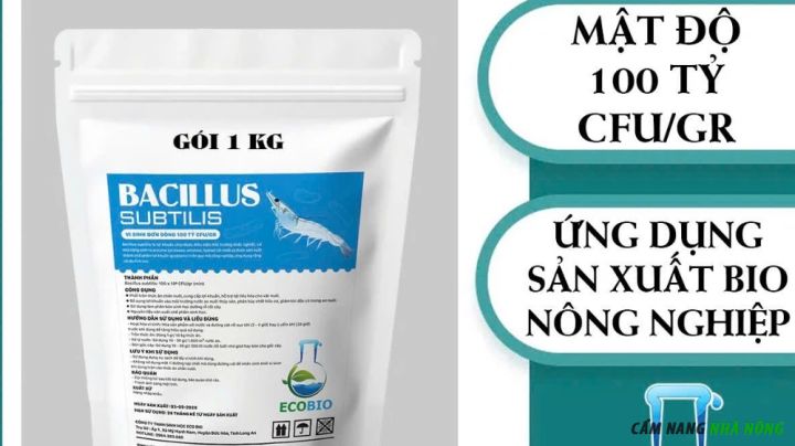 Sản phẩm vi sinh Bacillus Subtilis gói 1Kg