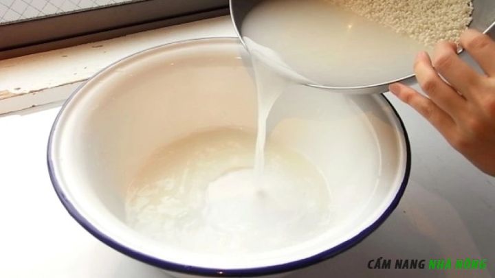 Nước vo gạo chứa B1 tự nhiên rất tốt cho cây trồng
