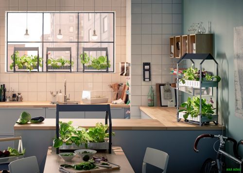 Nhà bếp có thể lắp đặt hệ thống trồng rau thủy canh