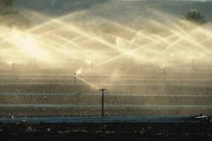 4 phương pháp tưới trong trồng trọt là gì?