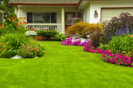 7 Mẹo Làm Vườn: Cách Chăm Sóc Cây Vào Mùa Hè