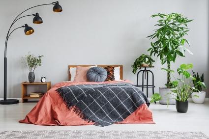 Thêm cây vào phòng ngủ mang lại lợi ích cho giấc ngủ