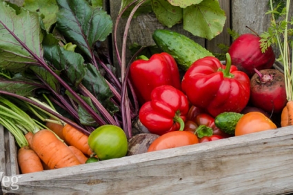 10 cách để tăng năng suất trong vườn rau của bạn