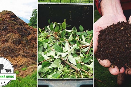 Các phương pháp ủ phân hiệu quả nhất