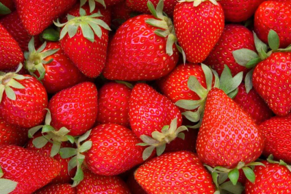 Cách trồng, phát triển và thu hoạch dâu tây