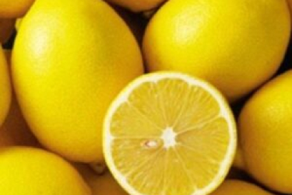 Hướng dẫn cách trồng cây chanh