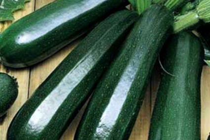 5 mẹo để trồng bí ngòi ngon