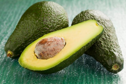 Cách gieo hạt bơ và trồng cây từ hạt