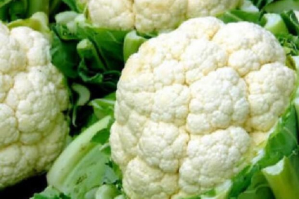 Cách trồng và chăm sóc súp lơ hiệu quả nhất