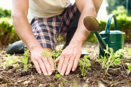 Làm vườn có phải là một cách tập thể dục