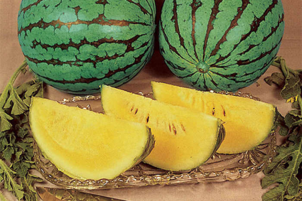 Bạn có biết về dưa hấu vàng