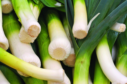 Cách trồng và chăm sóc tỏi tây