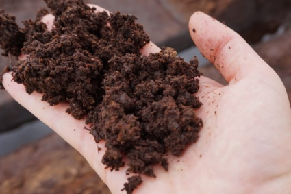 Trộn phân bón trong đất: Giải thích ưu và nhược điểm