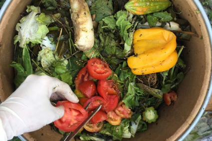 Mất bao lâu để làm phân trộn cho đất của bạn?