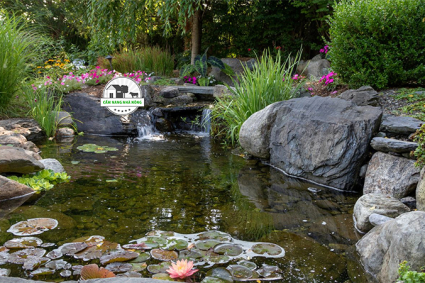 Cách làm hồ cá Koi của riêng bạn