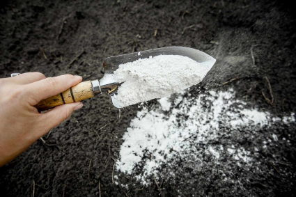 Vôi trong vườn là gì và cách sử dụng nó để giúp cây phát triển mạnh