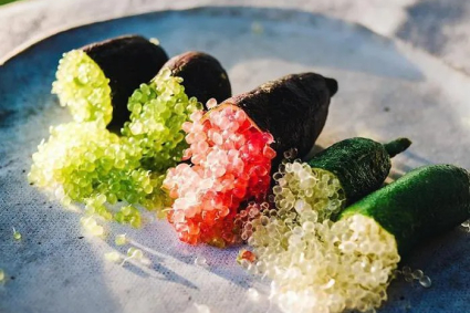 Mẹo Trồng Chanh Ngón Tay