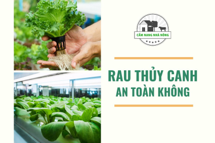 Trồng Rau Thủy Canh Có An Toàn Không?