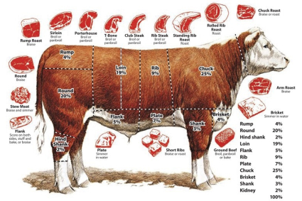 Cách tính kg bò hơi ra bò thịt