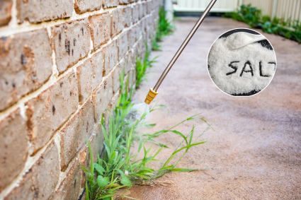 Cách diệt cỏ dại bằng muối ăn