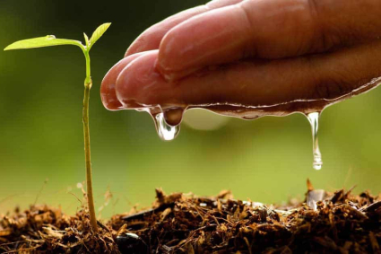 Chất giữ ẩm đất trồng
