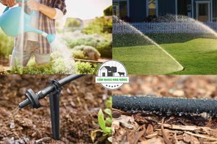 Các phương pháp tưới nước cho cây trồng