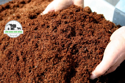 Cách xử lý xơ dừa để trồng cây