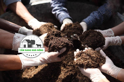 Các loại phân chuồng hữu cơ