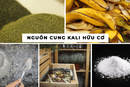 Các nguồn Kali hữu cơ cho cây trồng