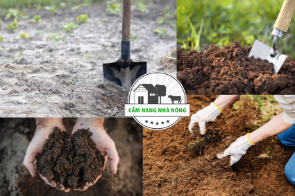 Đất trồng nào giữ nước tốt nhất