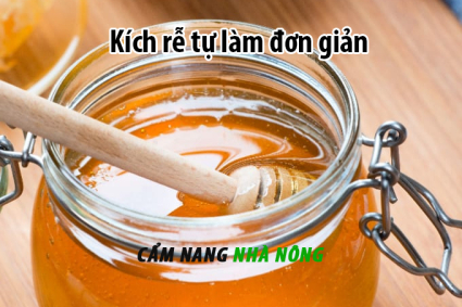 Cách làm thuốc kích rễ