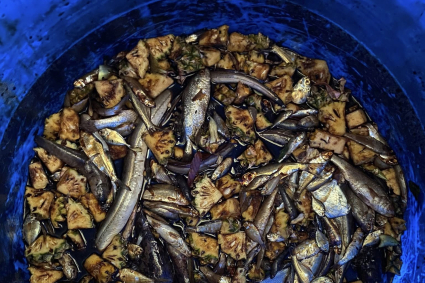 Tìm hiểu phân đạm cá: Lợi ích và ứng dụng hữu cơ