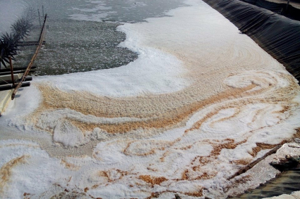 Cách xử lý bọt nhớt trong ao tôm